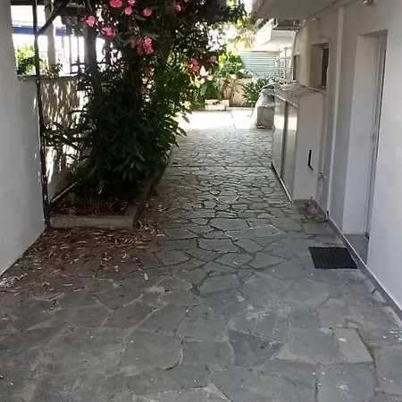 Vk Studio 1 Chaniotis